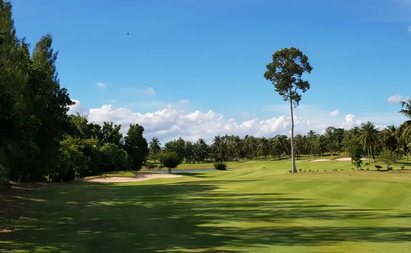 Eastern Star Country Club - Cocotiers et fairway Rayong