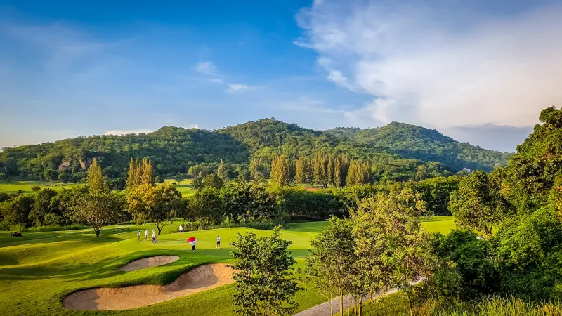 Pineapple Valley Golf Club - Fairway avec ananas