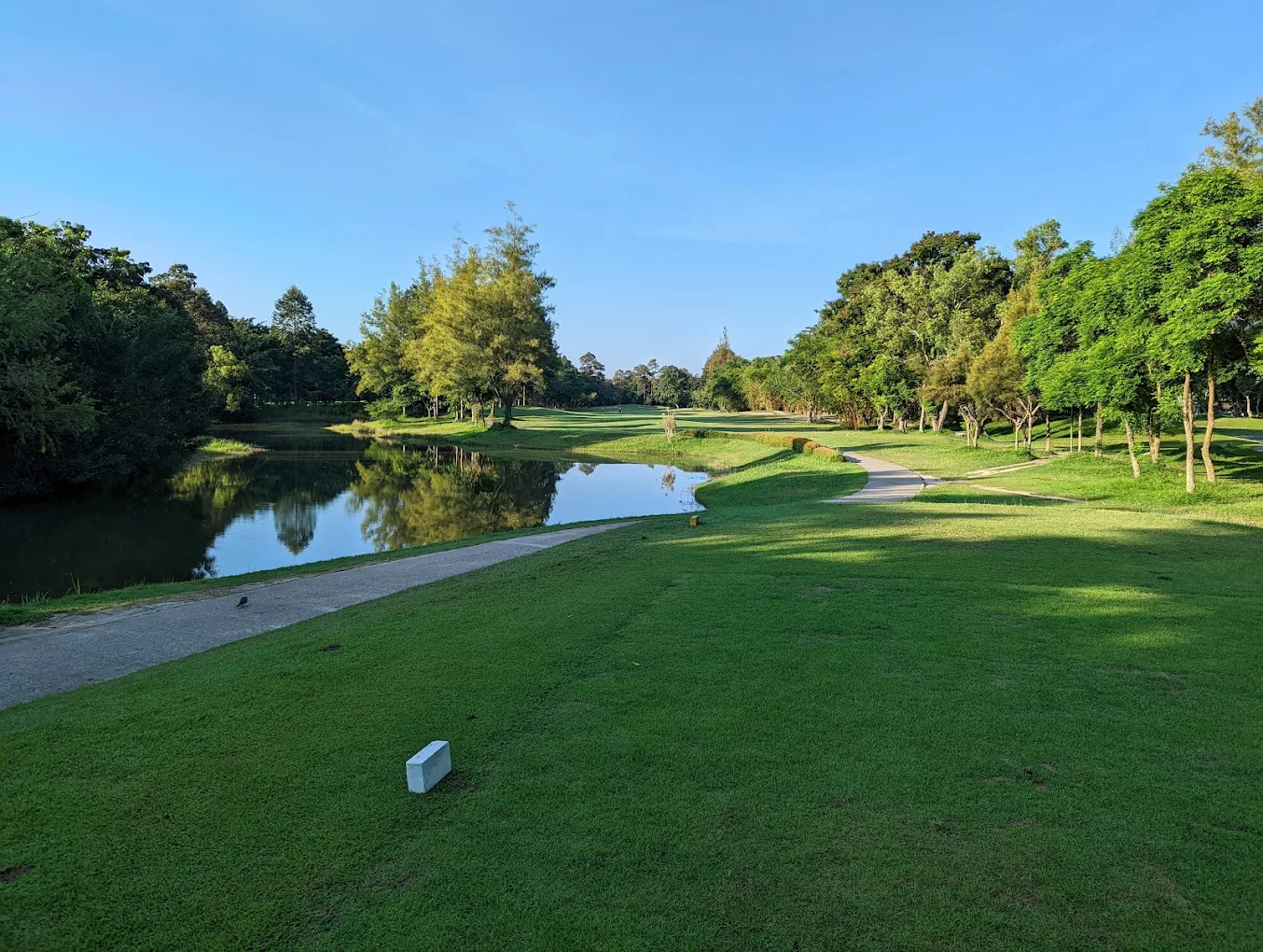 Lanna Golf Club - Arbres centenaires bordant les fairways